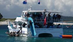 Dolphin-watching boat with slide and net